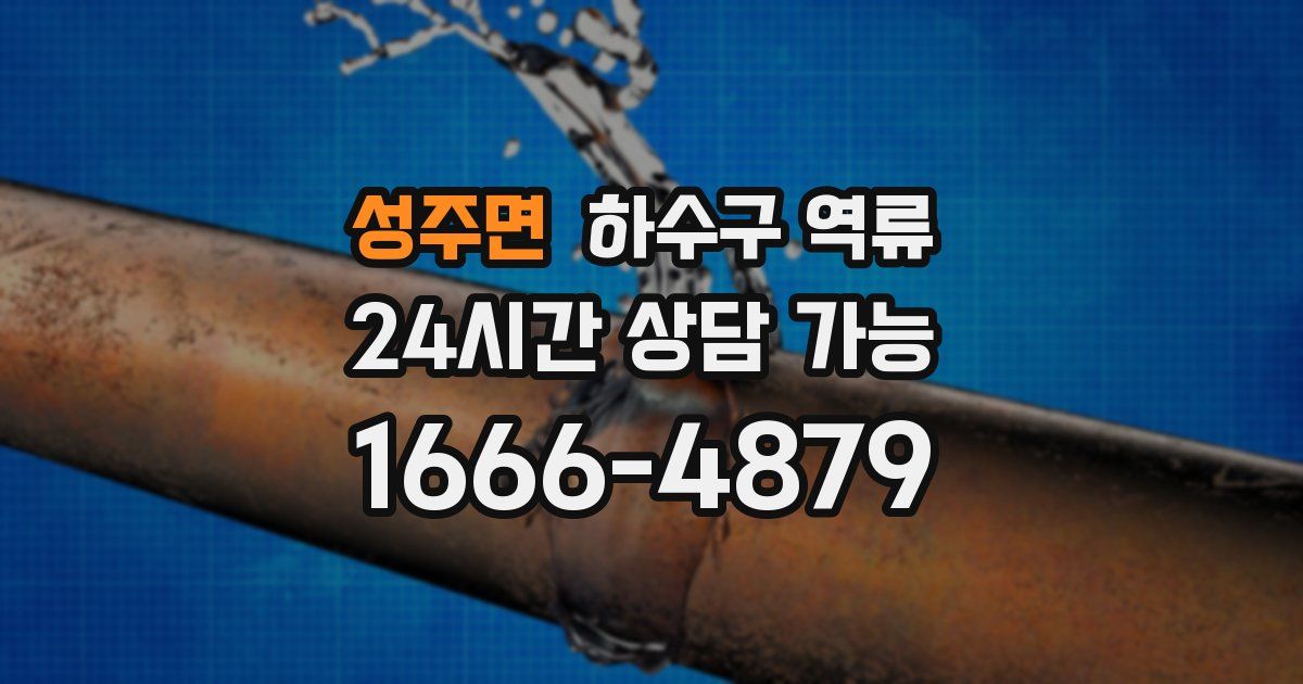 성주면 하수구 역류