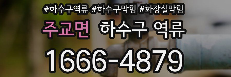 주교면 하수구 역류