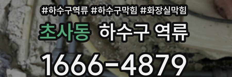 초사동 하수구 역류