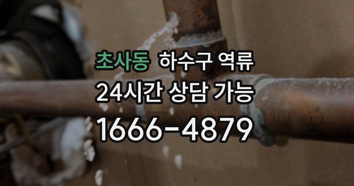 초사동 하수구 역류