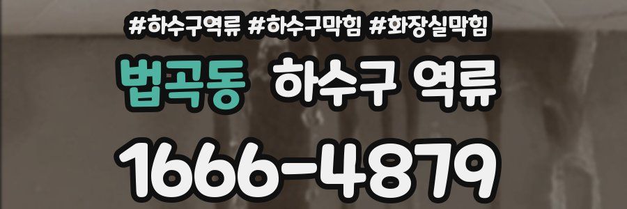 법곡동 하수구 역류