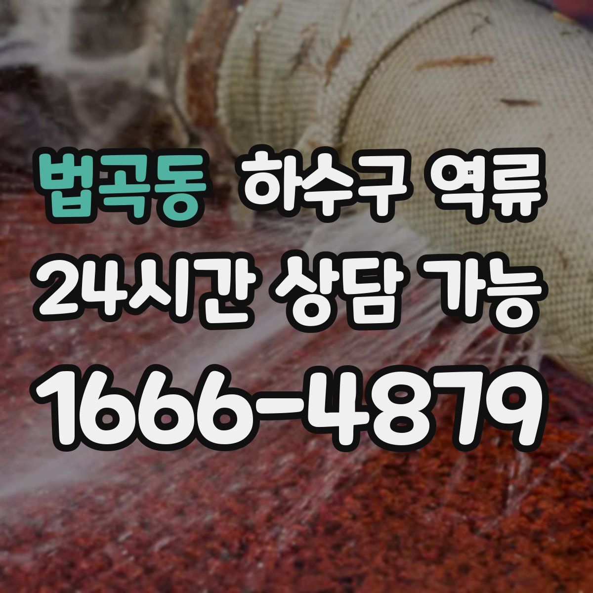 법곡동 하수구 역류