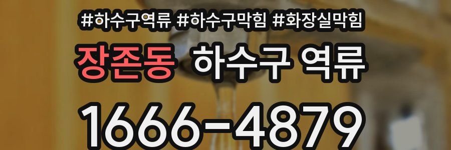 장존동 하수구 역류