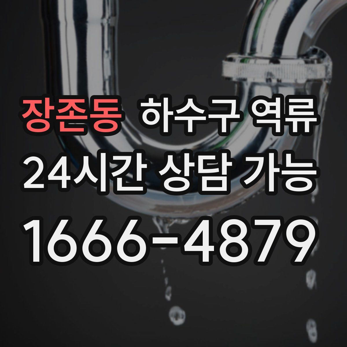 장존동 하수구 역류