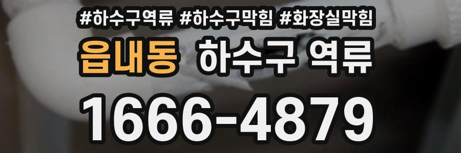 읍내동 하수구 역류