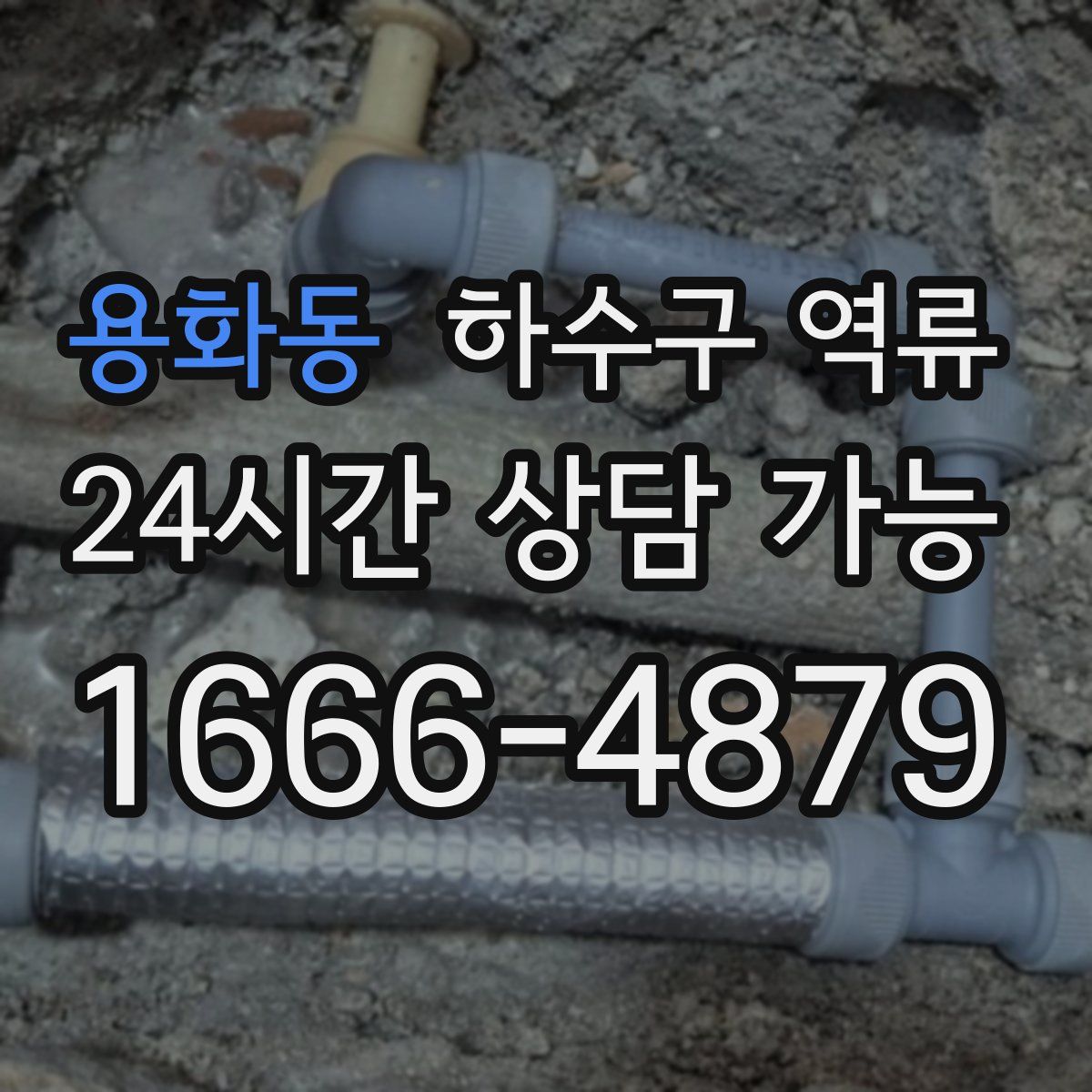 용화동 하수구 역류