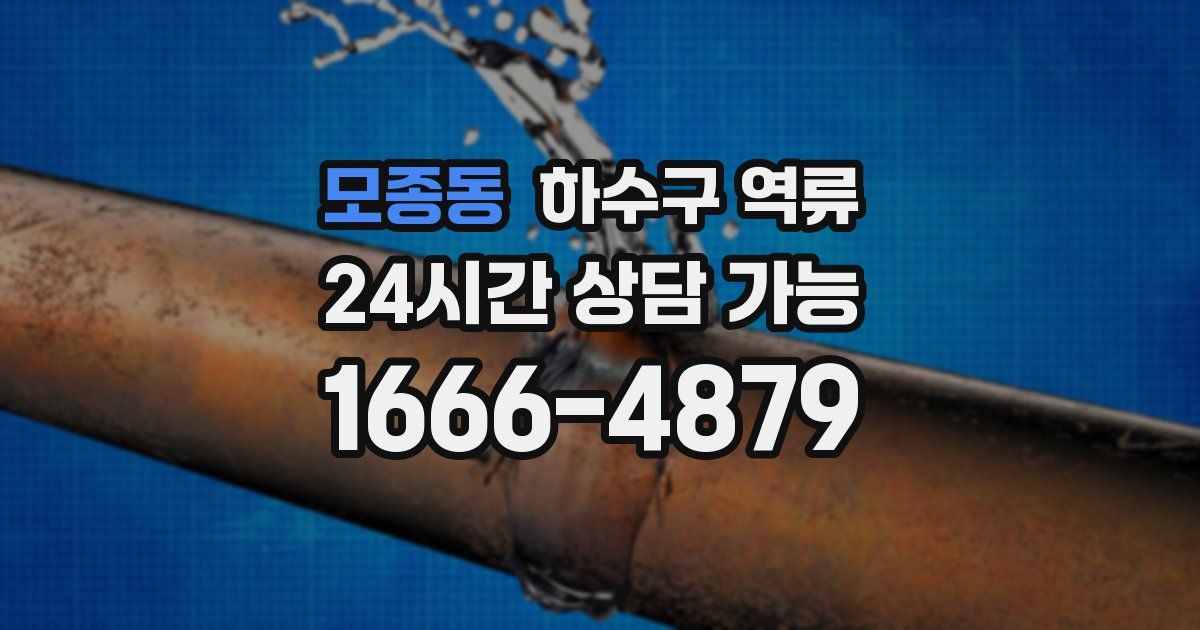 모종동 하수구 역류