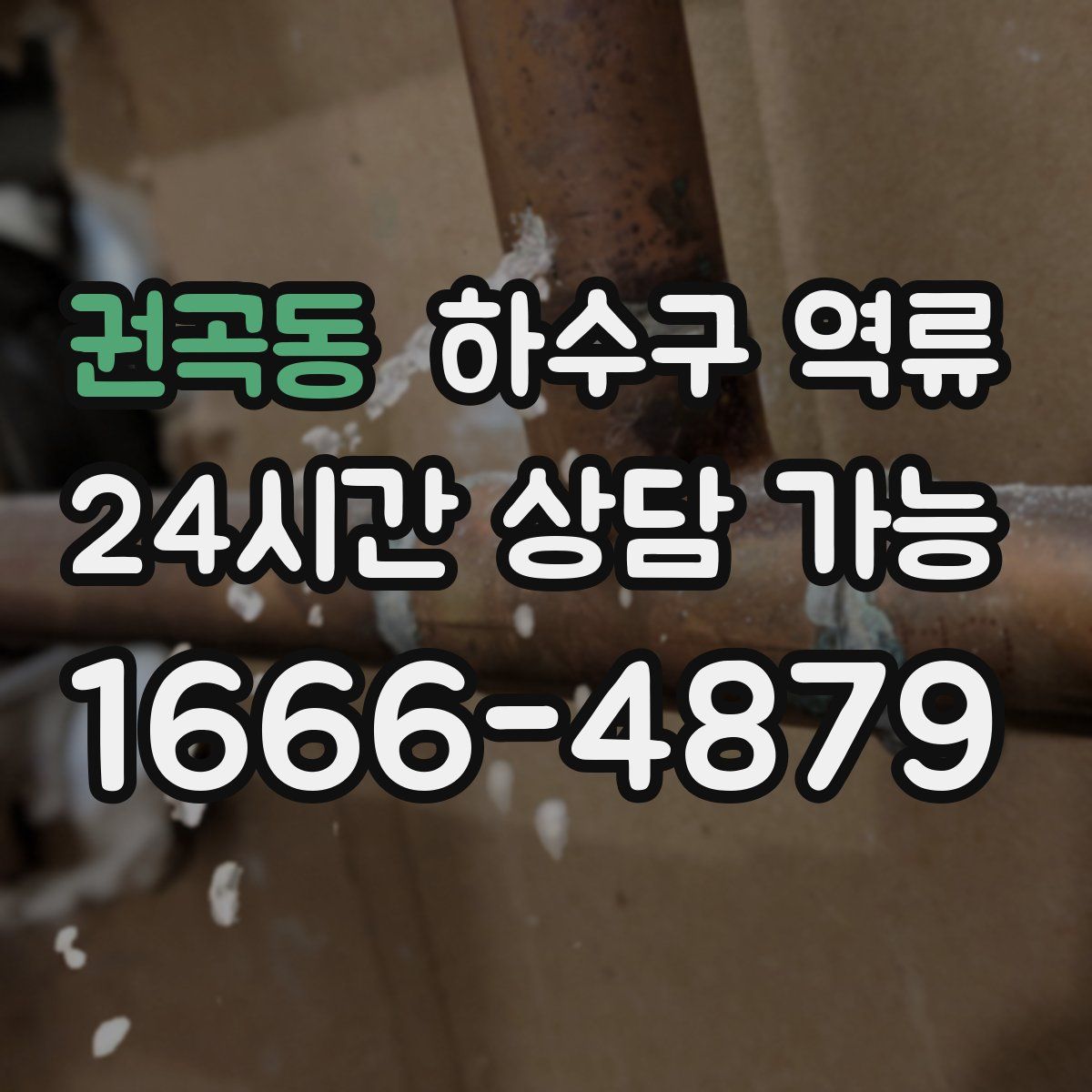 권곡동 하수구 역류