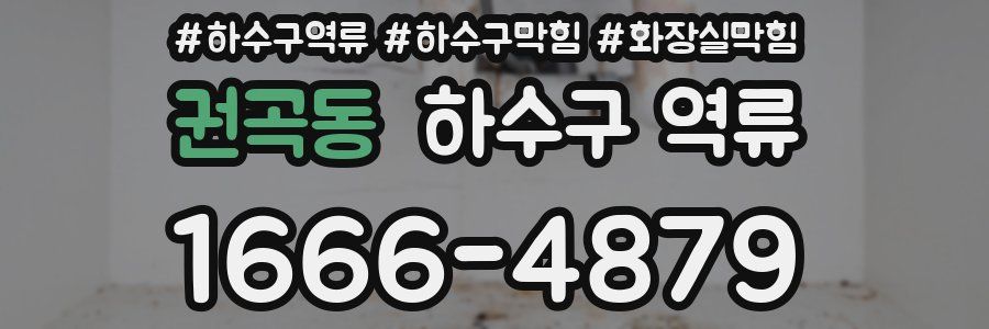 권곡동 하수구 역류