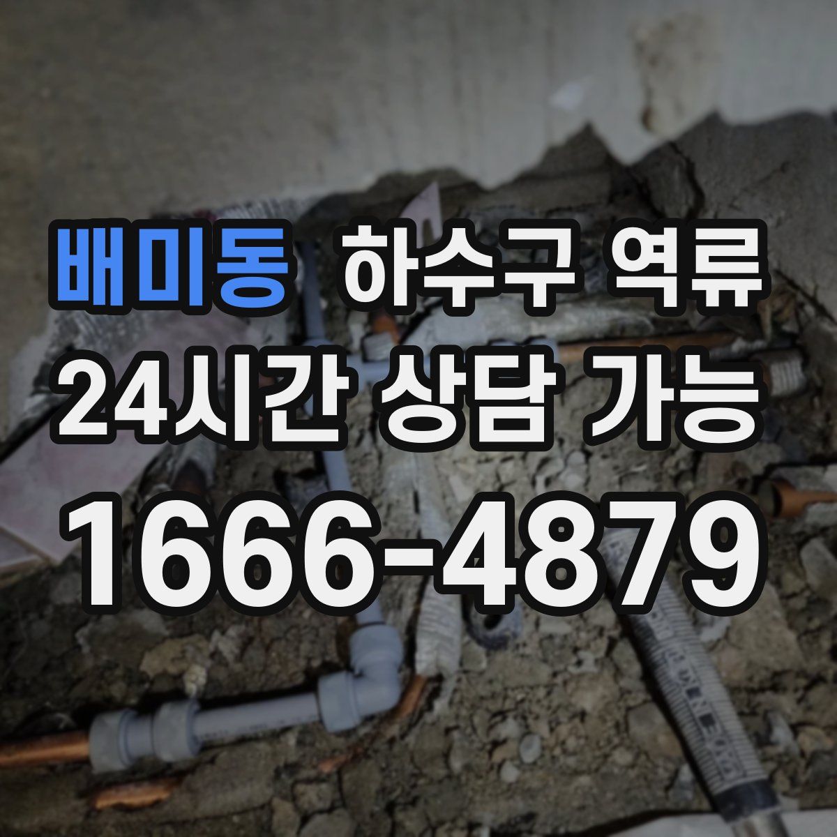 배미동 하수구 역류