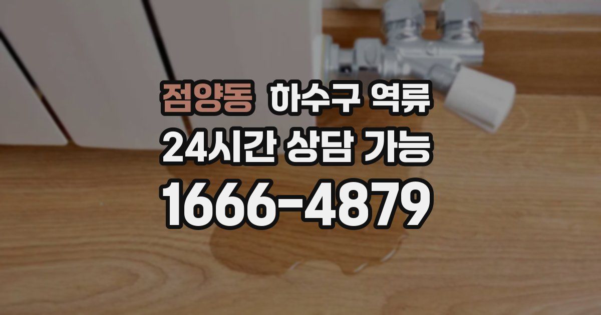 점양동 하수구 역류