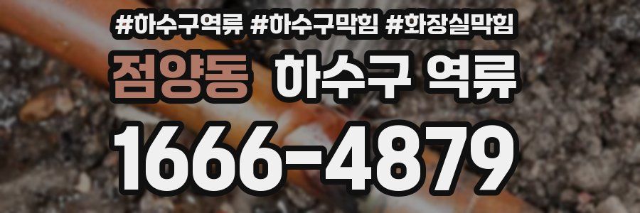 점양동 하수구 역류