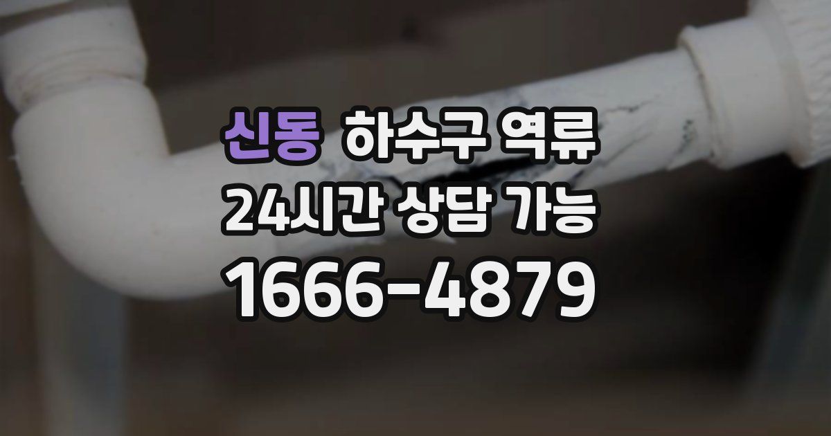 신동 하수구 역류