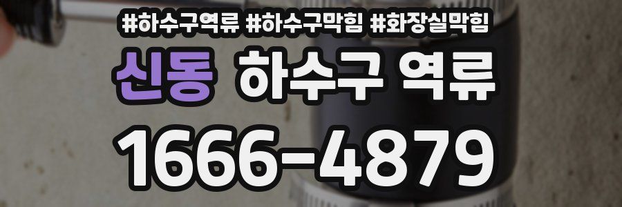신동 하수구 역류