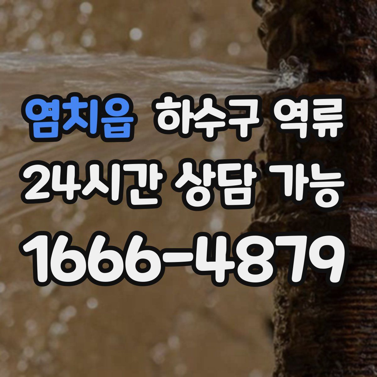 염치읍 하수구 역류