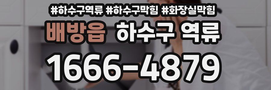 배방읍 하수구 역류