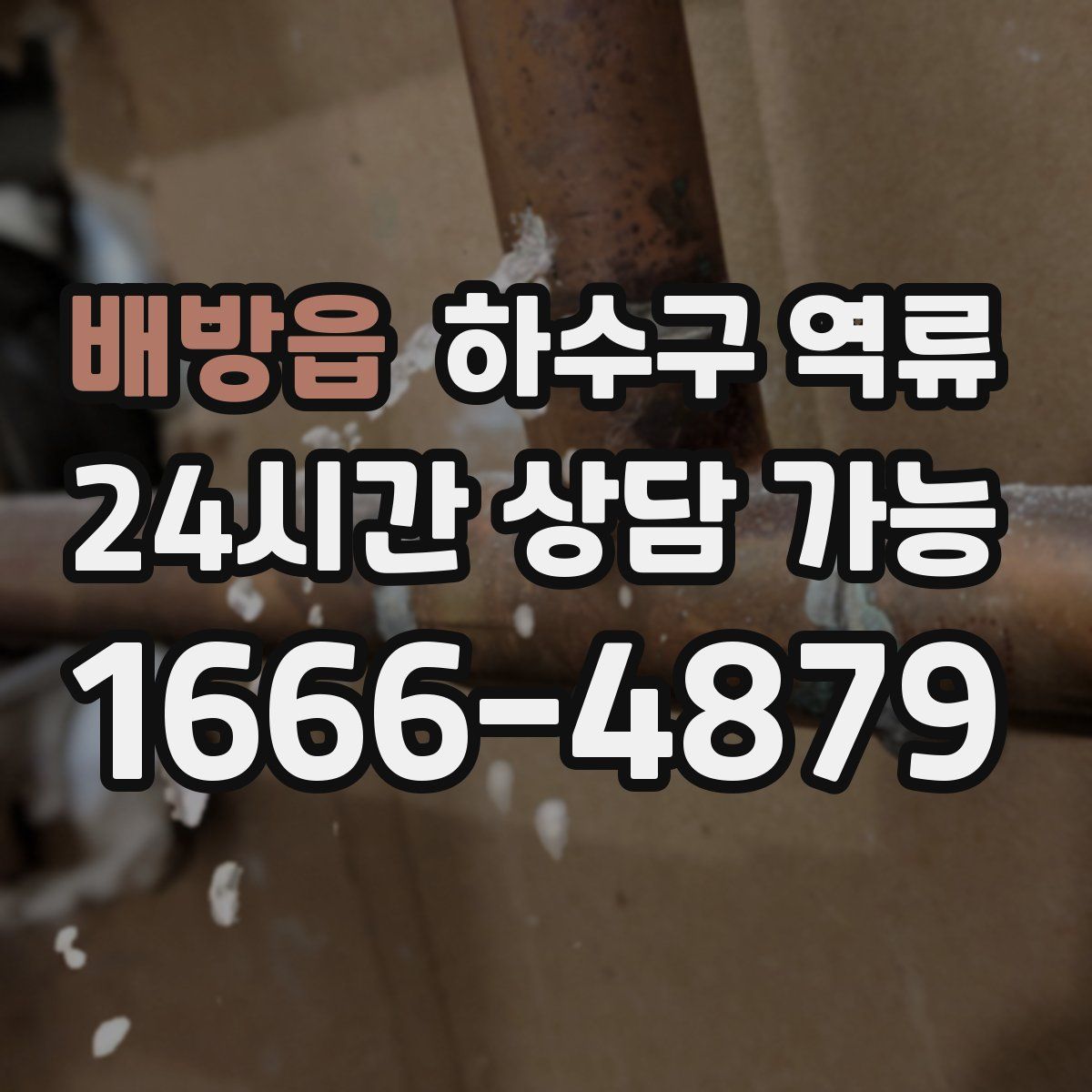 배방읍 하수구 역류