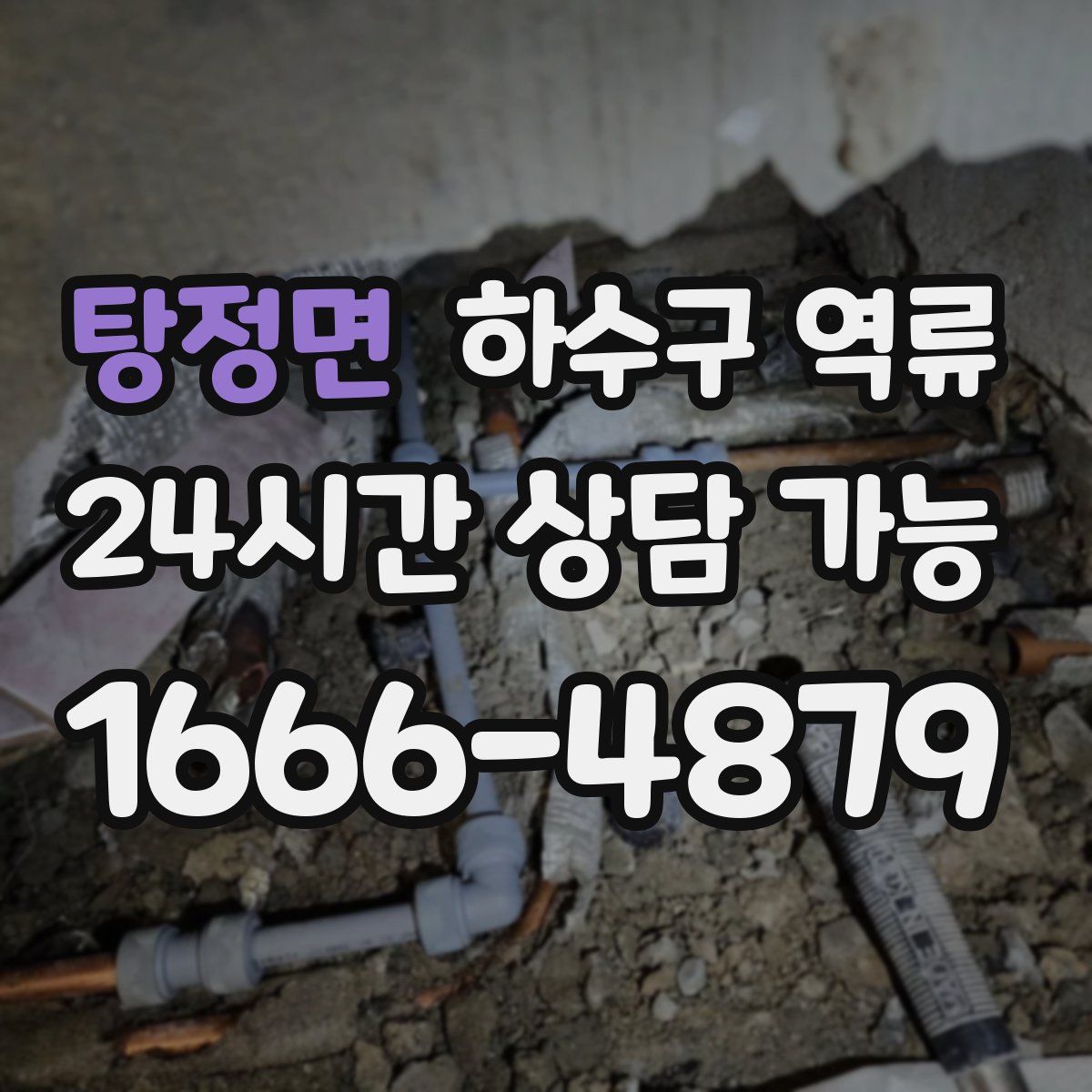 탕정면 하수구 역류