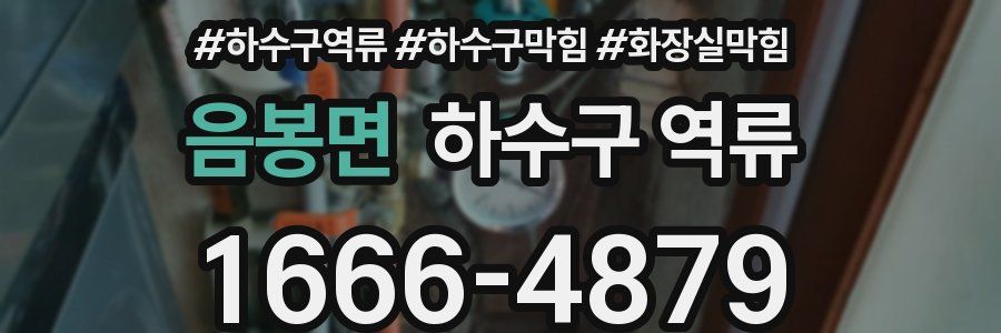 음봉면 하수구 역류