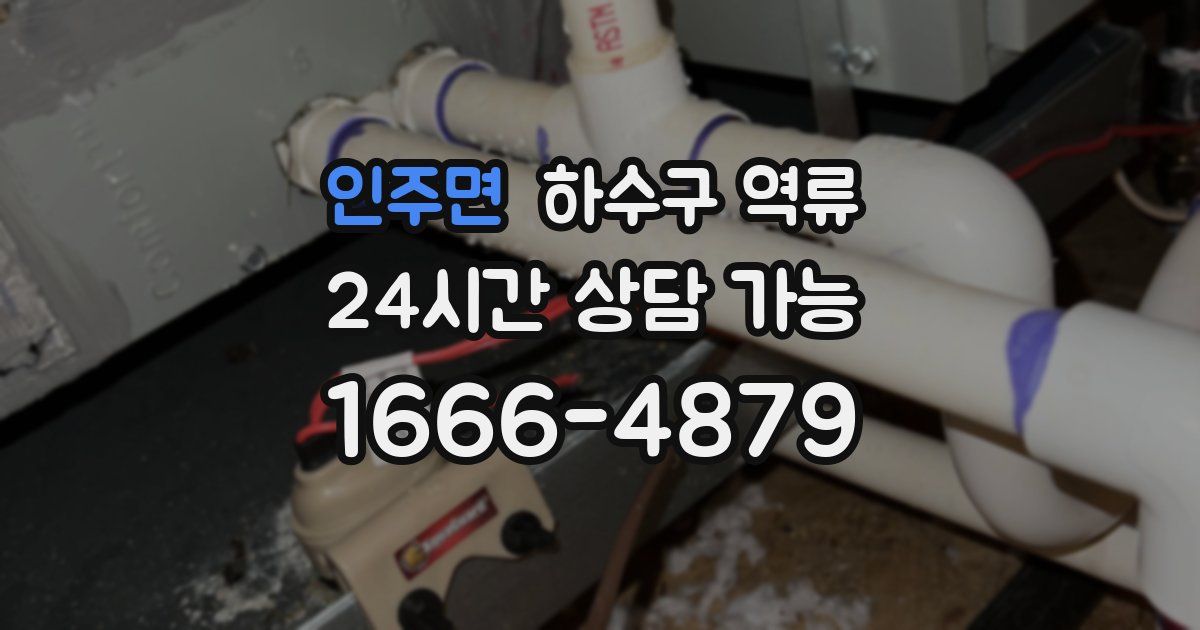 인주면 하수구 역류