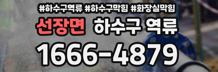 선장면 하수구 역류