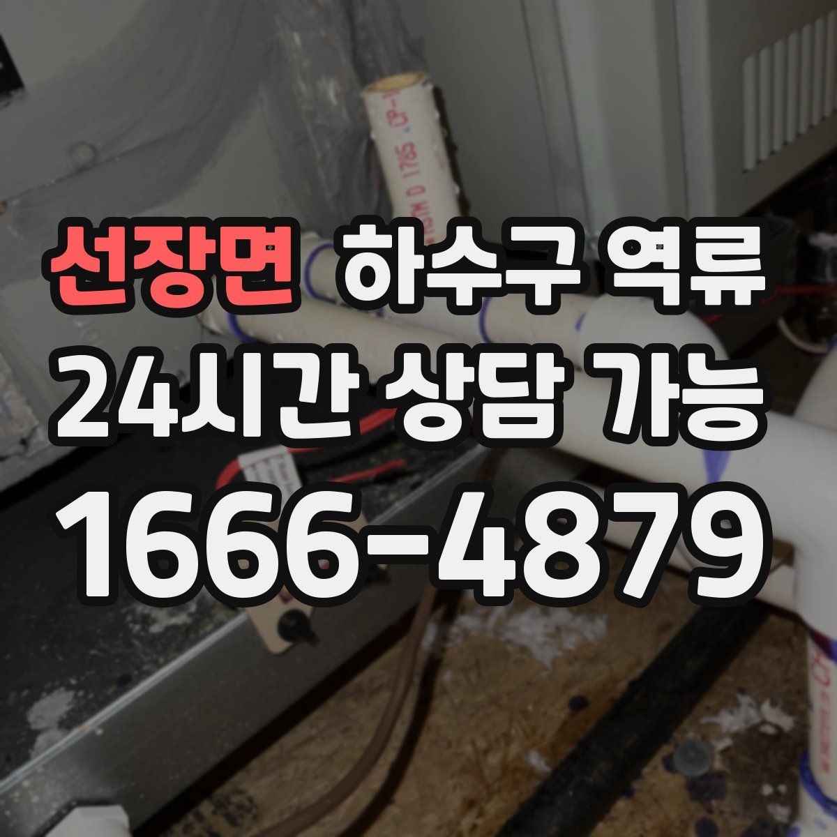 선장면 하수구 역류