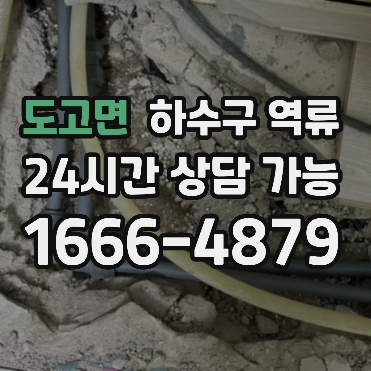 도고면 하수구 역류