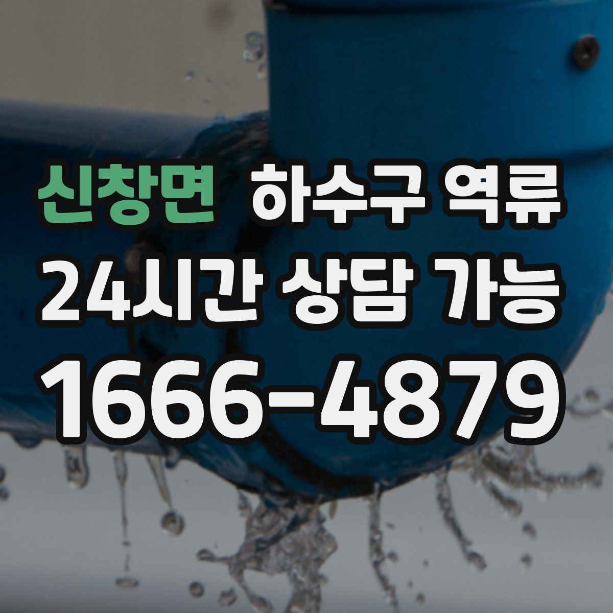 신창면 하수구 역류