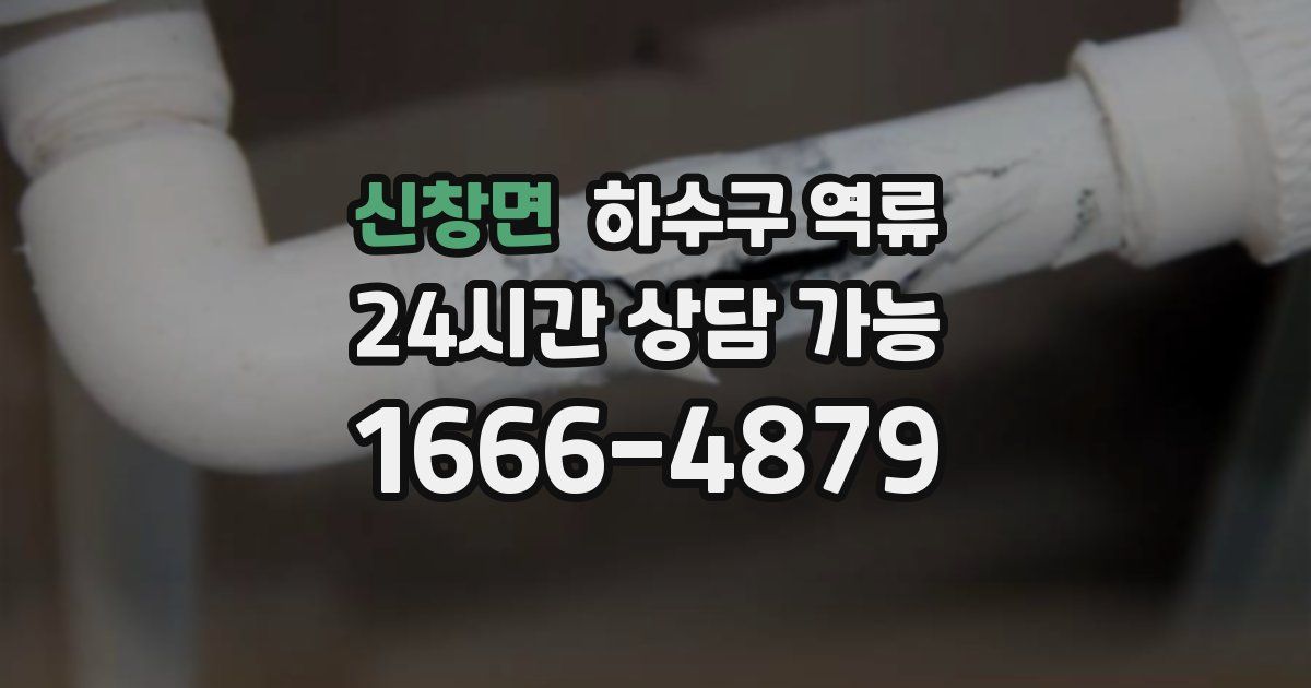 신창면 하수구 역류