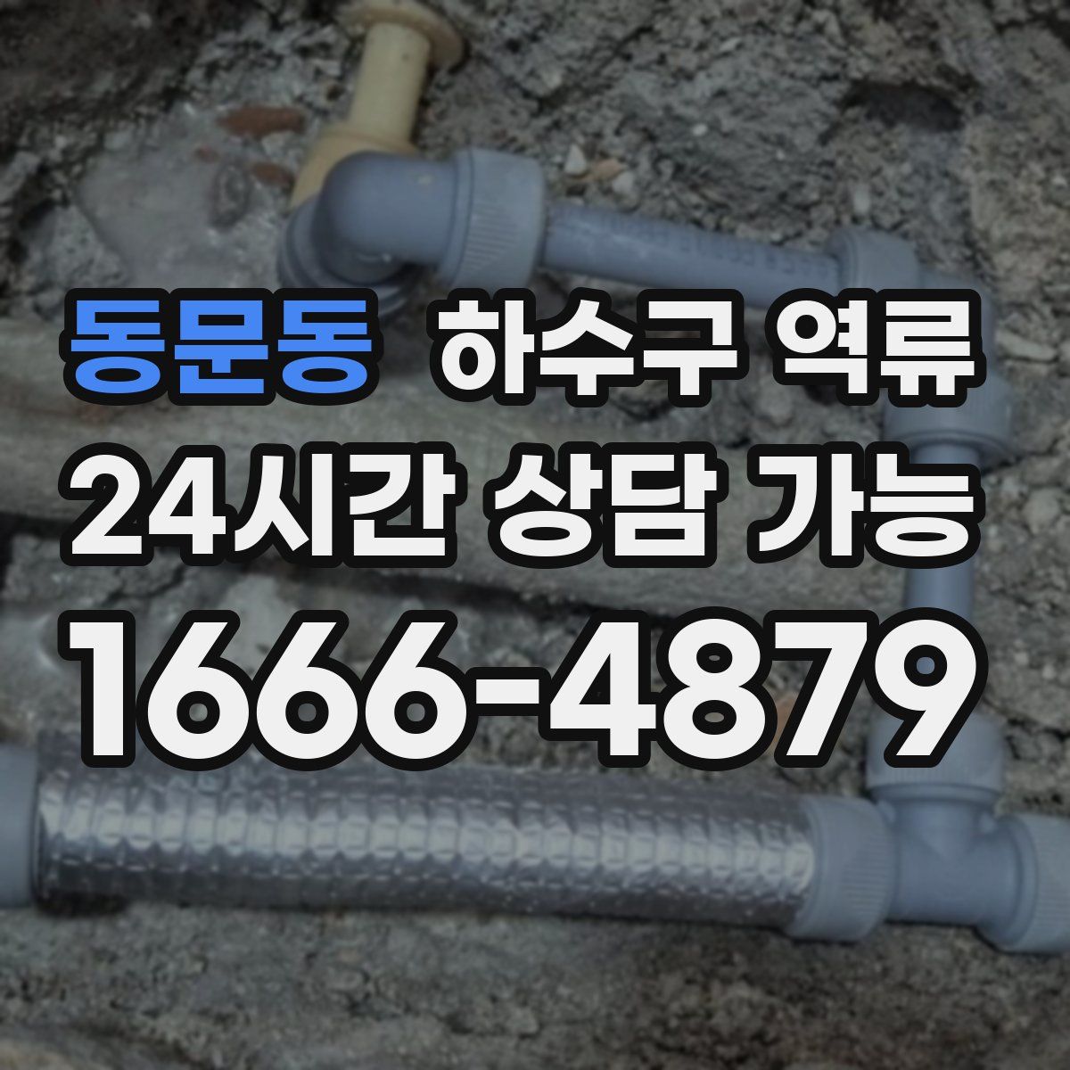 동문동 하수구 역류