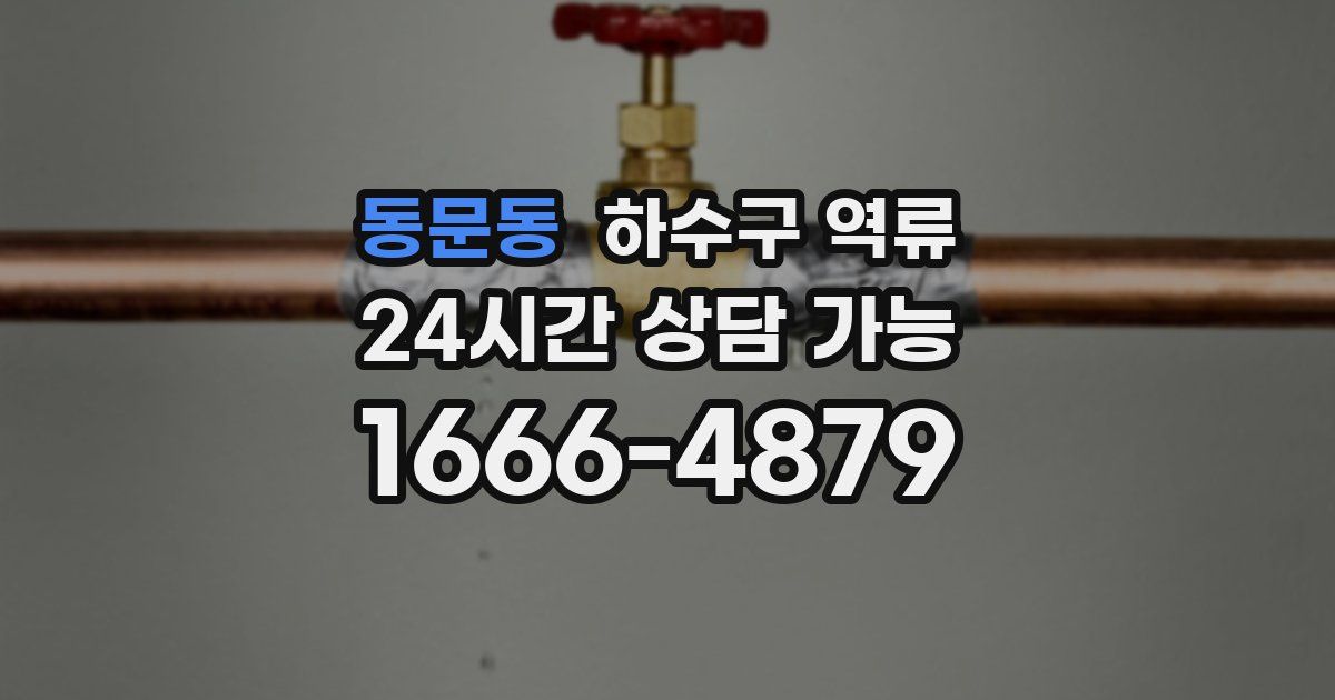 동문동 하수구 역류