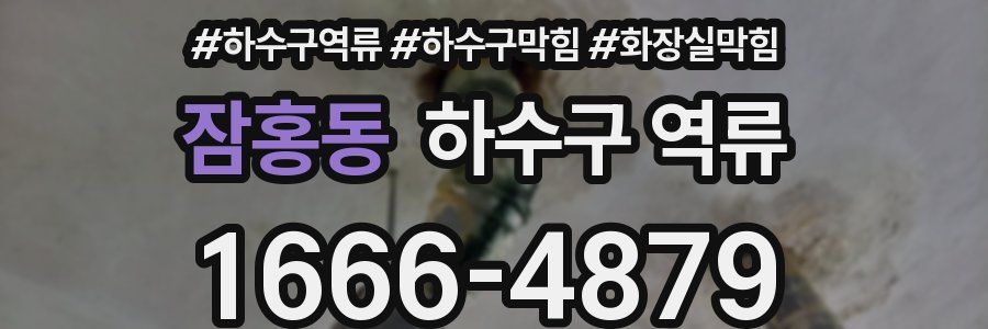 잠홍동 하수구 역류