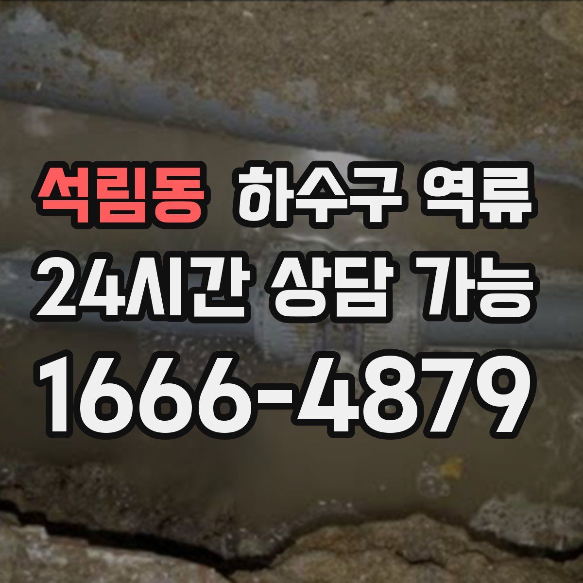 석림동 하수구 역류