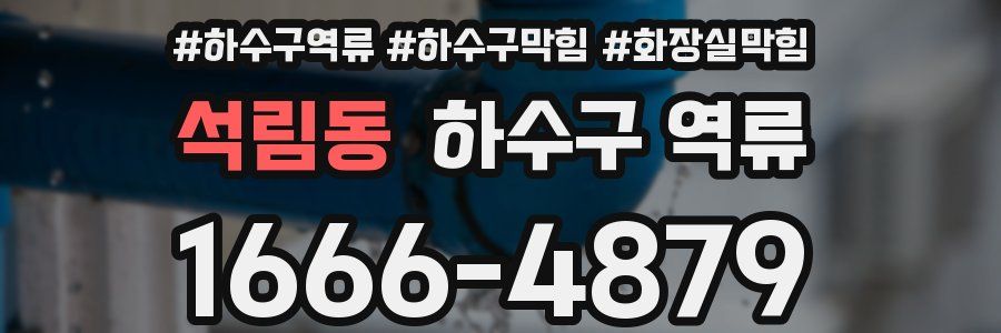 석림동 하수구 역류