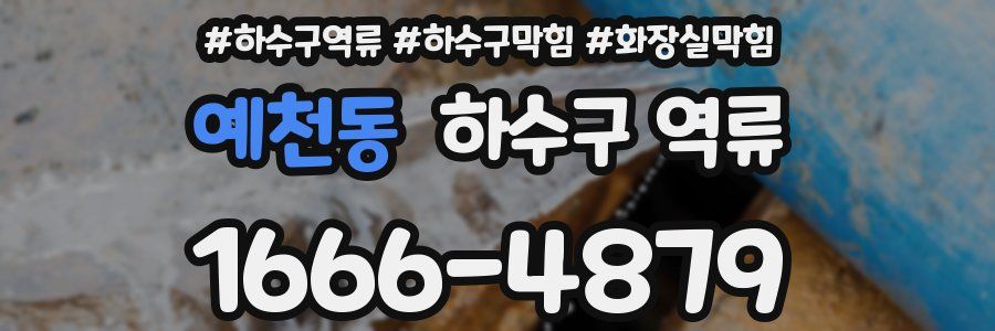 예천동 하수구 역류