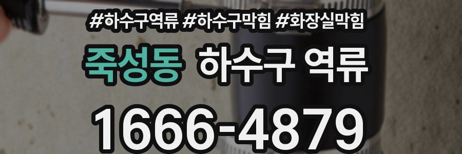 죽성동 하수구 역류