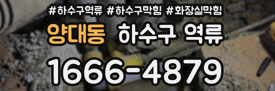 양대동 하수구 역류