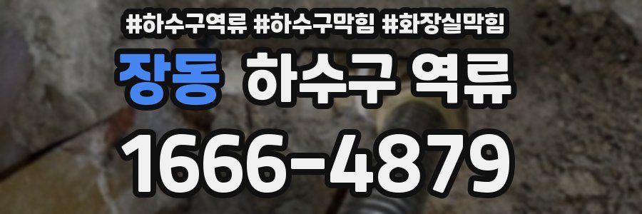 장동 하수구 역류