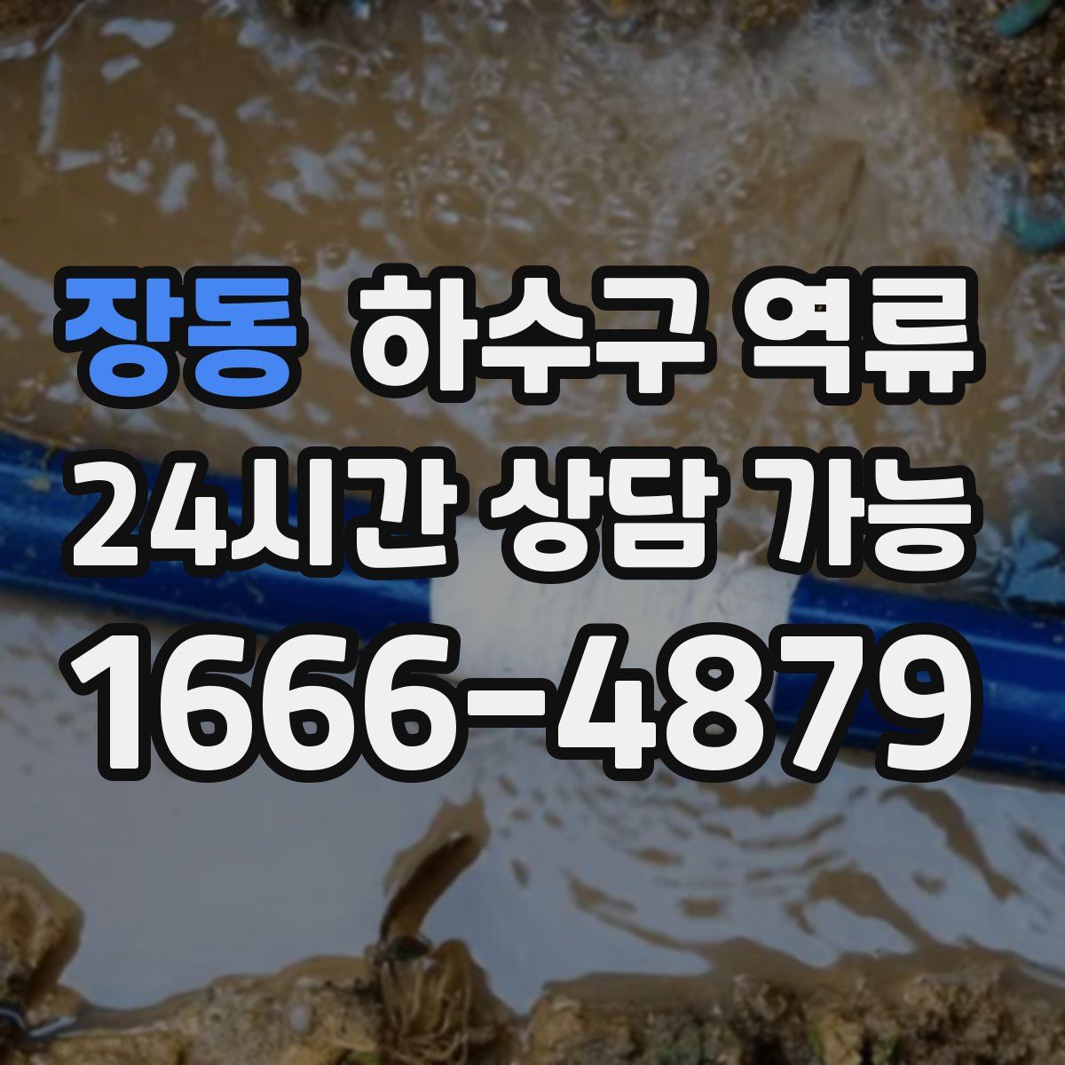 장동 하수구 역류