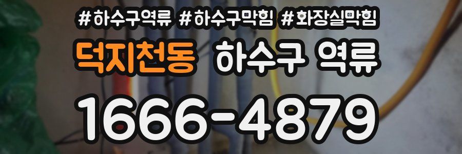 덕지천동 하수구 역류