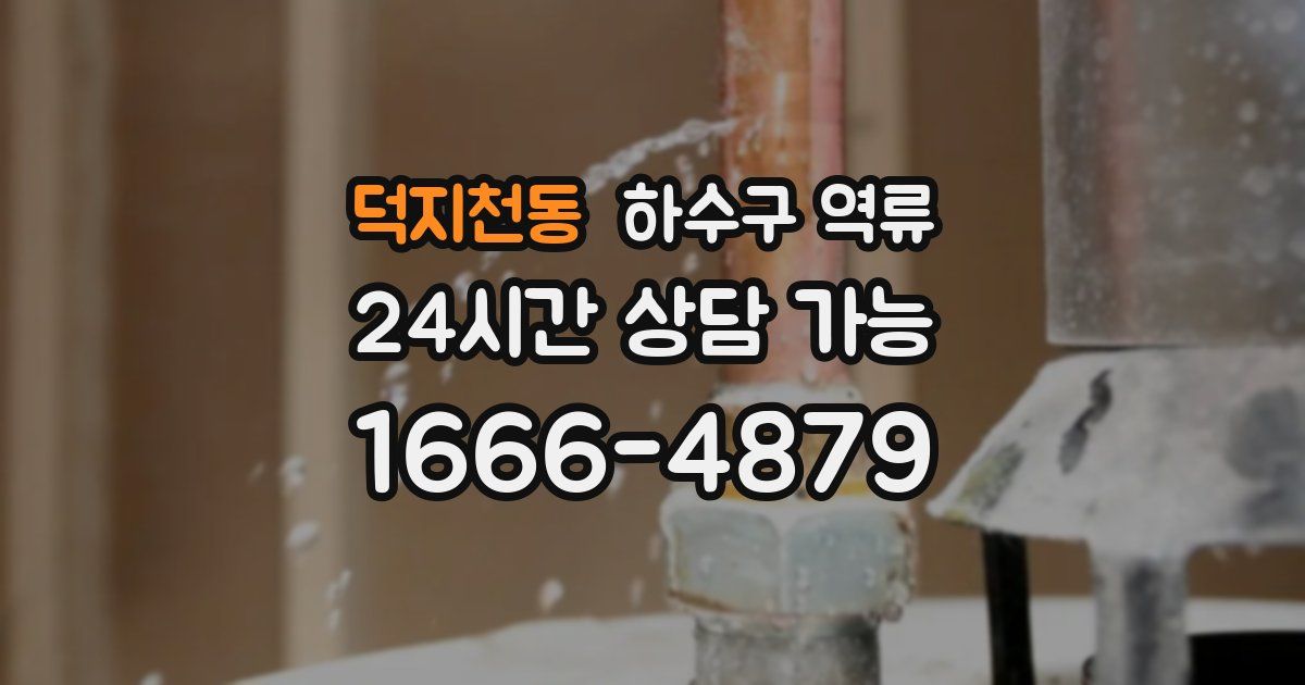 덕지천동 하수구 역류