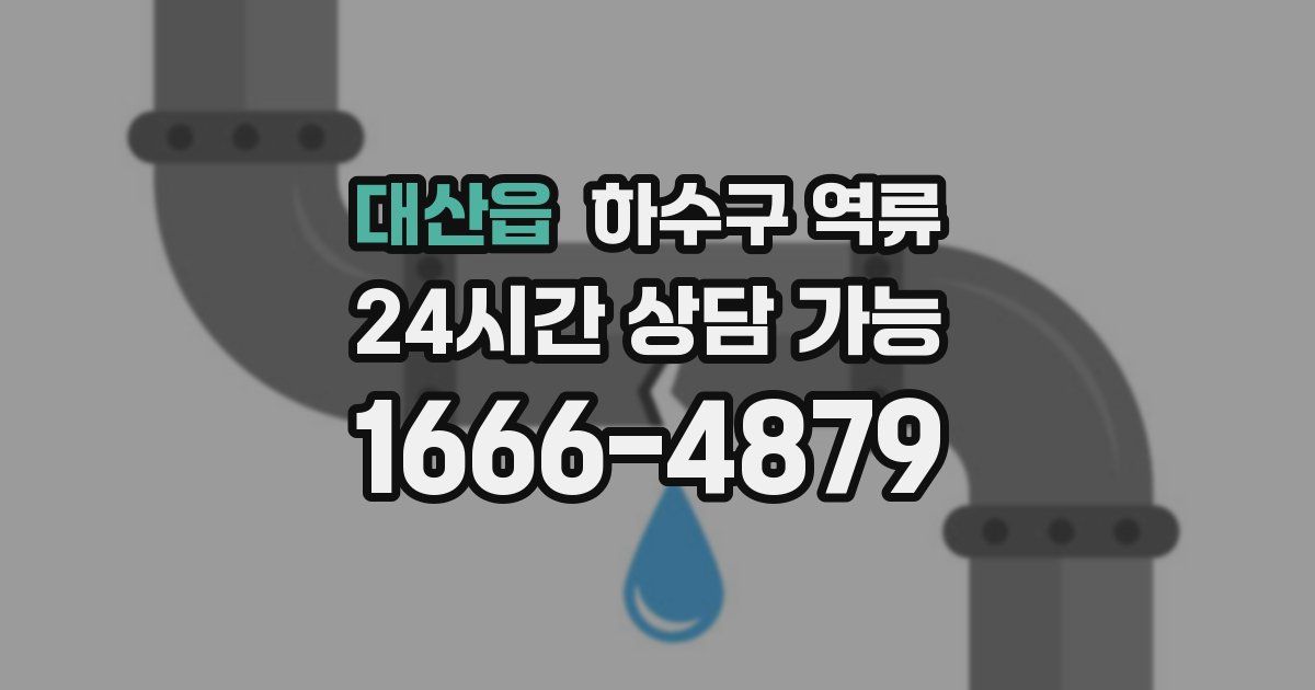 대산읍 하수구 역류