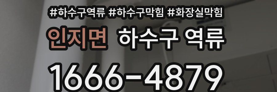 인지면 하수구 역류