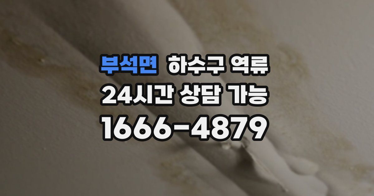 부석면 하수구 역류