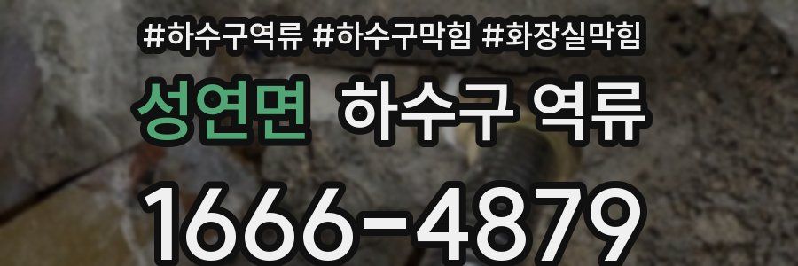 성연면 하수구 역류