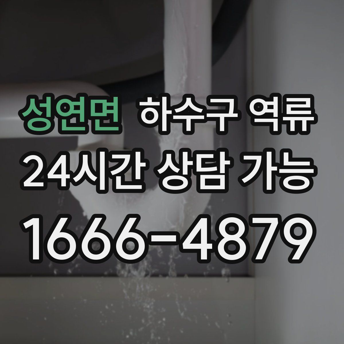성연면 하수구 역류