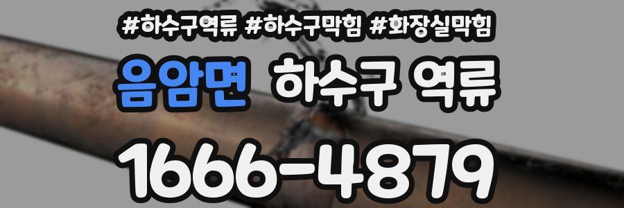 음암면 하수구 역류