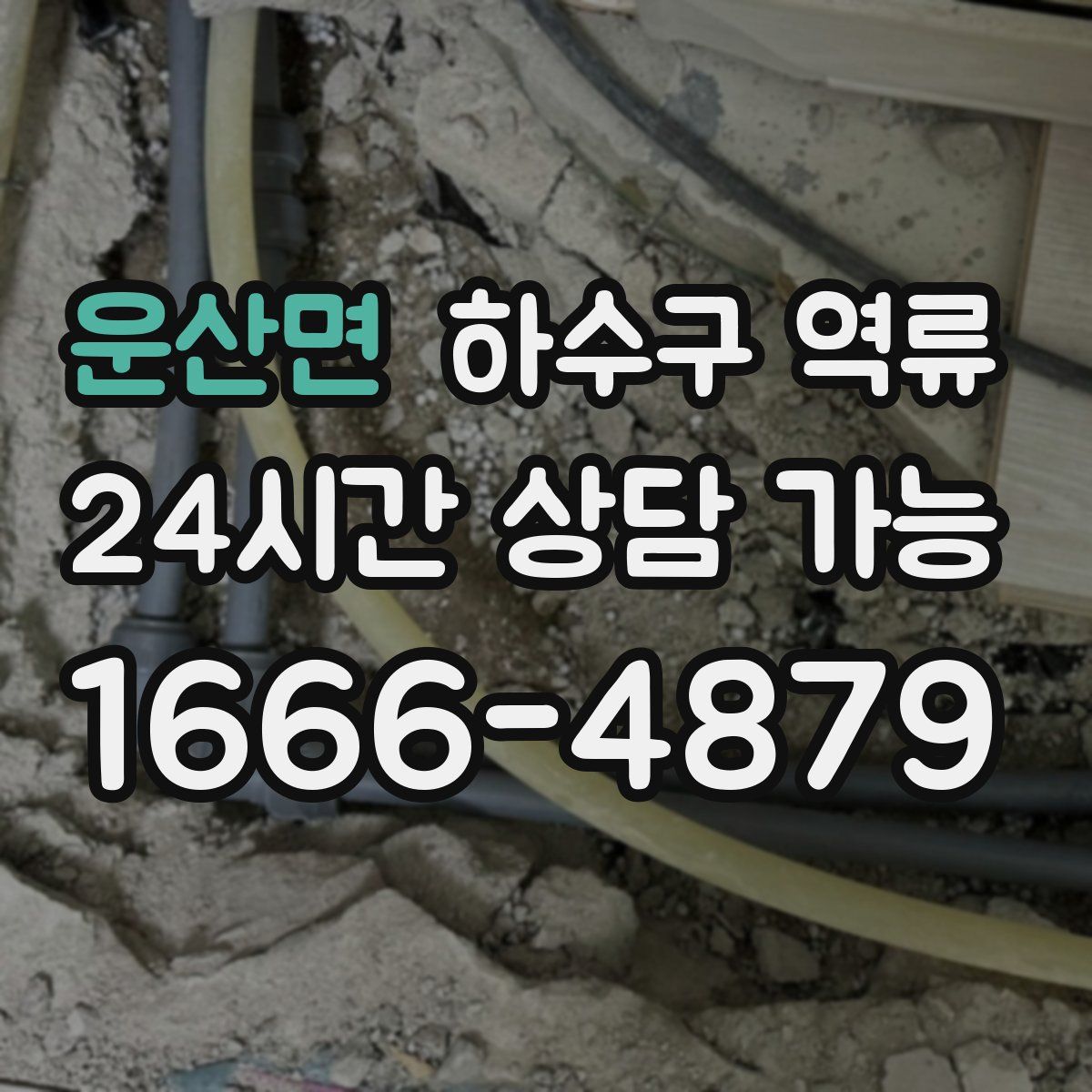 운산면 하수구 역류