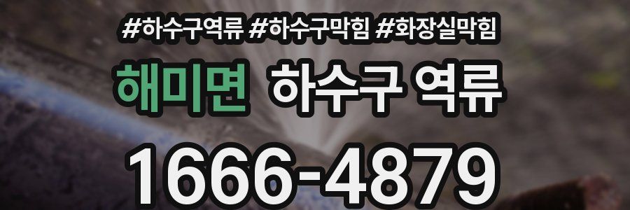 해미면 하수구 역류