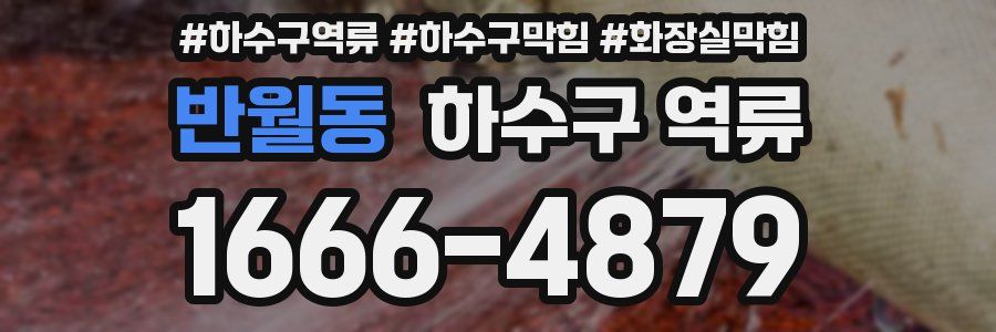 반월동 하수구 역류